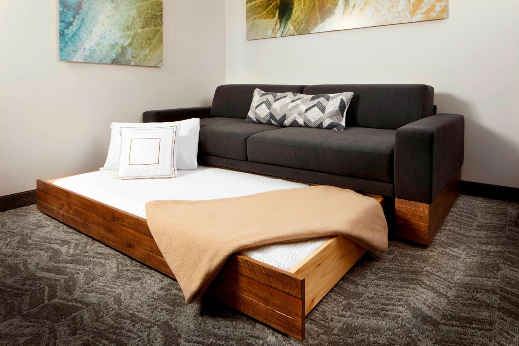 Springhill Suites By Marriott Pittsburgh Bakery Square Zewnętrze zdjęcie